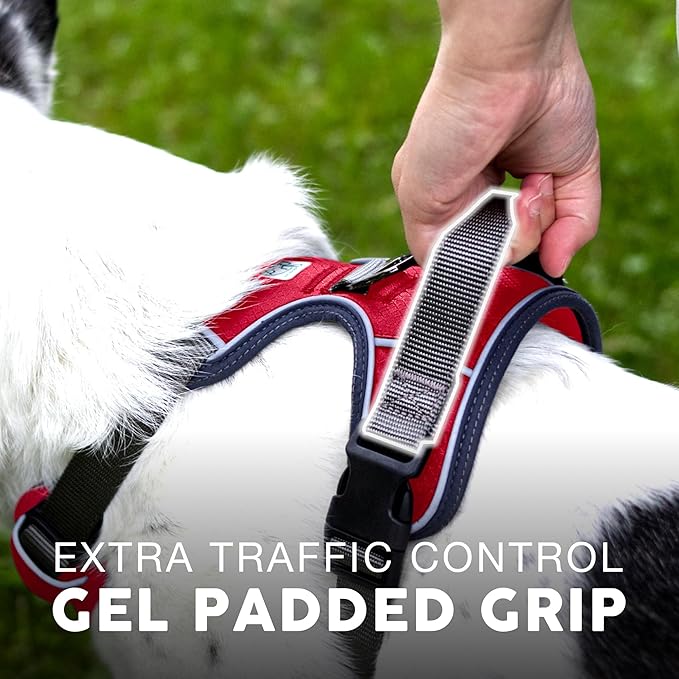 Embark Adventure Dog Harness, Reflective Trim No Pull Dog Harnesses for Small Sized Dogs - Military Grade Nylon, Front Clip with Gel Lined Handle.-PawvioPets