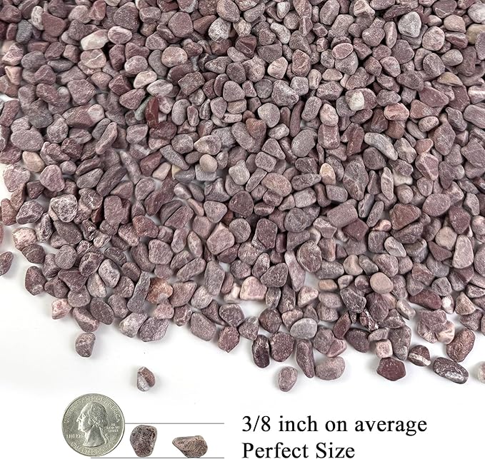 2 lbs Succulent and Cactus Pebbles Gravel, 3/8 Inch Decorative Red River Rocks for Plants Indoor, Vases, Terrarium, Potted Top Dressing and Outdoor Decorative Stones-PawvioPets