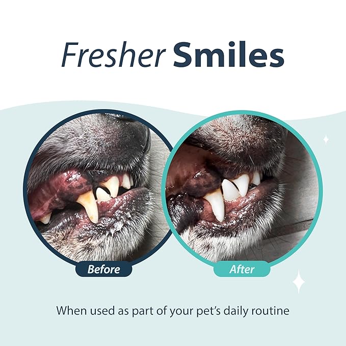 Dental Fresh Oral Spray for Dogs and Cats, Eliminates Bad Breath and Protects Their Teeth & Gums, 4 Fl Oz.-PawvioPets