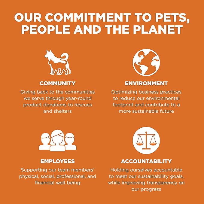 Go! Solutions Skin + Coat Care, Grain-Free Dry Cat Food, Salmon Recipe, 16 lb Bag-PawvioPets