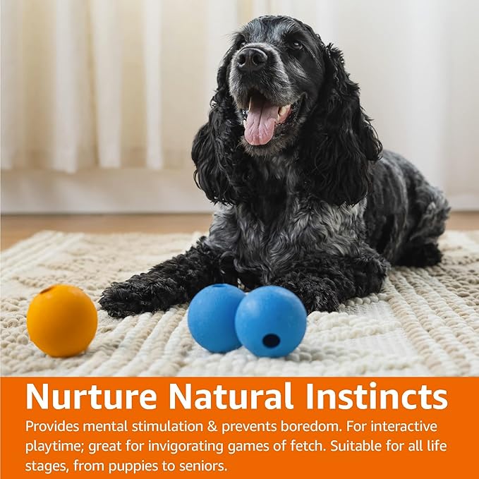 Amazon Basics Dog Toys, Interactive Supreme Rubber Balls, (Pack of 3), 2.5 inch, Blue, Orange-PawvioPets