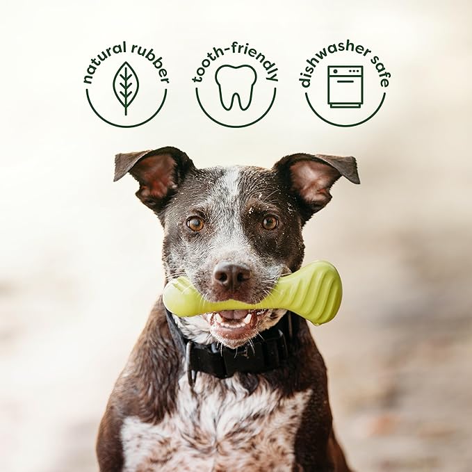 Benebone 2-Pack Bacon Wishbone/Rubber Bone Medium-PawvioPets