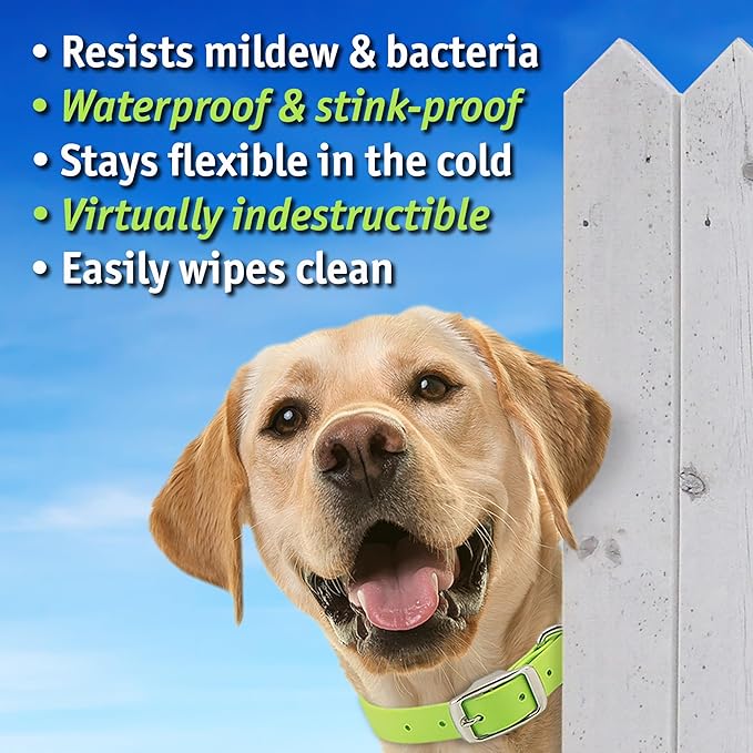 Biothane Custom Dog Collar – Waterproof, Stink-Proof Personalized Collar with Name & Phone Number – Durable, Many Sizes and Colors – Assembled in USA (Amethyst Purple)-PawvioPets