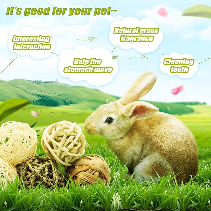 8 Pcs Small Animals Play Balls Rolling Activity Chew Toys Gnawing Treats for Rabbits Guinea Pigs Chinchilla Bunny Natural Balls, Pet Cage Entertainment Accessories (8Pcs)-PawvioPets