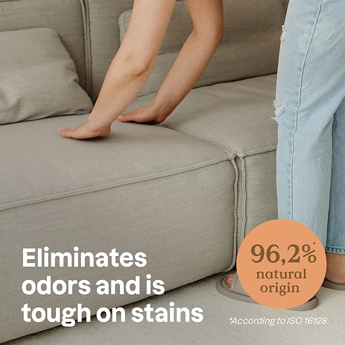 ATTITUDE Stain and Odor Remover for Pets, Plant and Mineral-Based Ingredients, Vegan and Cruelty-Free, Lavender, 16 Fl Oz-PawvioPets