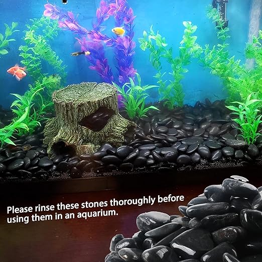 2LB 1"-2" Black River Rocks for Plants, Polished Pebbles for Garden Landscaping, Planters, Aquariums, Vase Fillers – Indoor & Outdoor Decor-PawvioPets