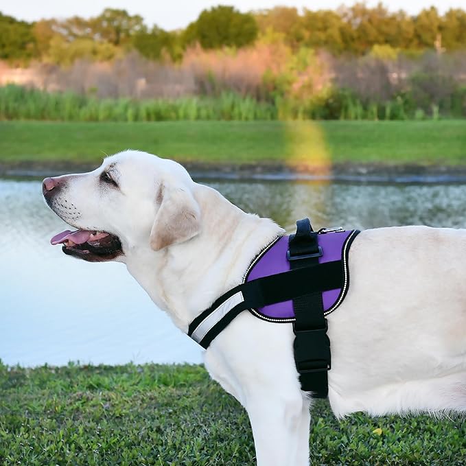 Dogline Dog Harness, Reflective No-Pull Adjustable Vest with Handle for Walking, Training, Breathable, No - Choke Harness for Small, Medium or Large Dogs Room for Patches Girth 15 to 18 in Purple-PawvioPets