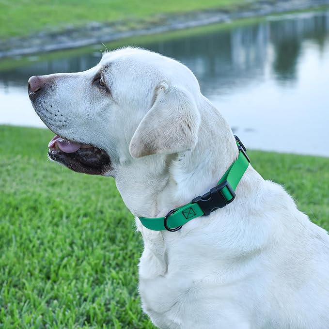 Dogline Biothane Waterproof Dog Collar with Quick Release Buckle Strong Coated Nylon Webbing with Odor- Proof for Easy Care Easy to Clean Fits Small Medium Large Dogs, Teal 5/8" W 9-14" L-PawvioPets
