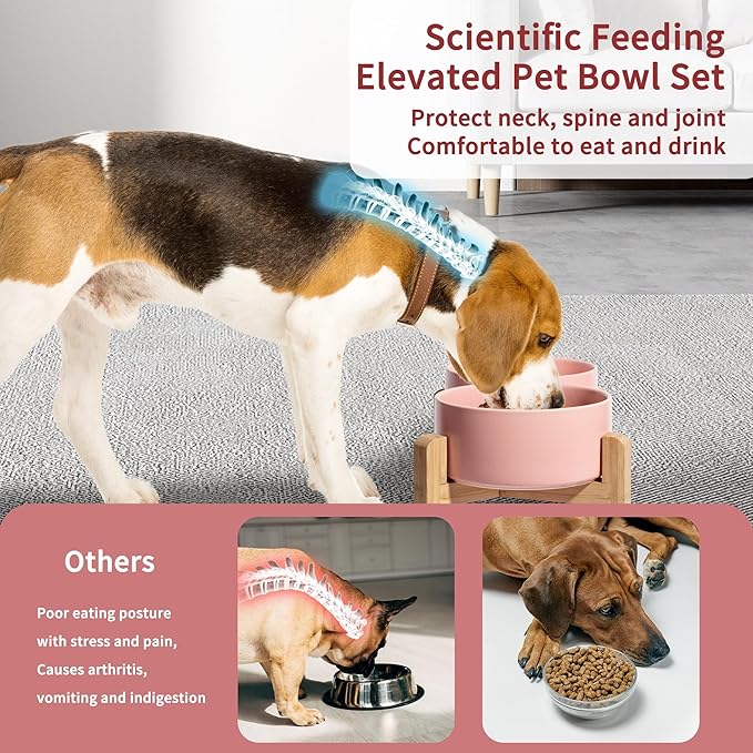 Elevated Ceramic Dog Bowl Set - Raised Dog Bowls with Non-Slip Bamboo Stand - Dog Food and Water Bowl Set - Double Dog Feeding Bowls - Suitable for Small and Medium Dogs - 28.74 OZ - 3.6 CUPS - 850 ML-PawvioPets