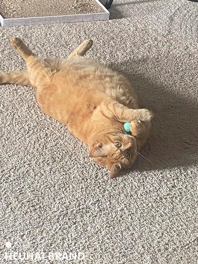 80-Pack Cat Toy Balls 10 Assorted Colors 1.25 Inch Diameter Suitable for All Cat Sizes (Cat Toys Value Pack)-PawvioPets