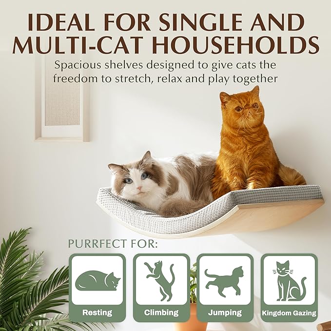 Extra Large 23.6”×14.6” CALLICO HAVEN- Stylish Cat Wall Shelves with Curved Design, Modern Wall-Mounted Cat Tree Hammock with Soft Cushion, Sturdy/Hidden Mounts, Washable Cover, Sleek Design -C Shape-PawvioPets
