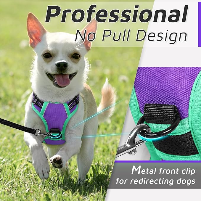Eagloo Small Dog Harness No Pull, Service Vest with Reflective Strips and Control Handle, Adjustable and Comfortable for Walking, No Choke Pet Harness with 2 Metal Rings, Purple & Green, XS-PawvioPets