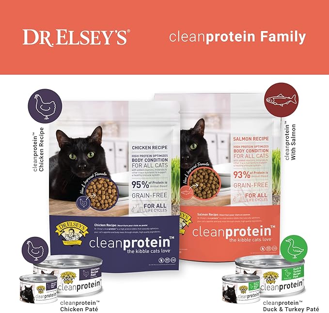 Dr. Elsey's Cleanprotein Salmon Formula Dry Cat Food, 6.6 Lb-PawvioPets