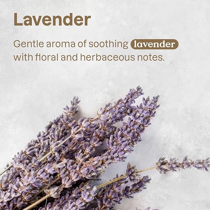 ATTITUDE Stain and Odor Remover for Pets, Plant and Mineral-Based Ingredients, Vegan and Cruelty-Free, Lavender, 16 Fl Oz-PawvioPets