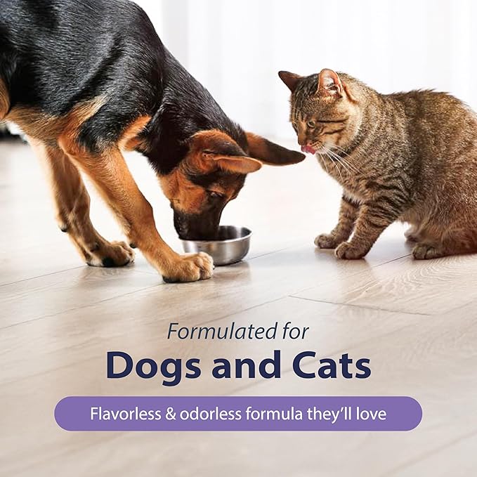 Dental Fresh Advanced Plaque and Tartar Water Additive, 17oz – Dog Teeth Cleaning Formula to Freshen Breath and Improve Cat & Dog Dental Care-PawvioPets