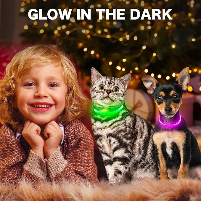BSEEN Light Up Dog Collar - Rainproof Rechargeable LED Dog Collar - TPU Cuttable Glowing Pet Collar for Small Dogs& Cats - Puppy Safety Dog Lights for Night Walking (XS- Green 40cm)-PawvioPets