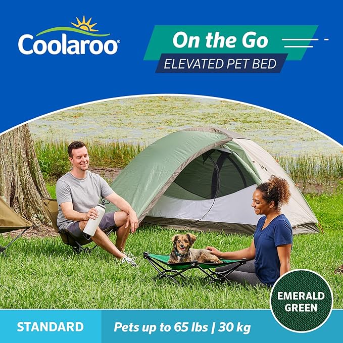 Coolaroo On-The-Go Elevated Dog Bed - Foldable Pop-Up Travel Dog Bed with Breathable, Moisture-Resistant Fabric, Carry Bag Included, Lightweight & Portable, Emerald Green, Standard-PawvioPets