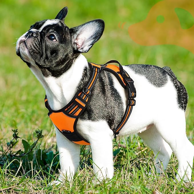 Eagloo Dog Harness Small Sized Dog, No Pull Service Vest with Reflective Strips and Control Handle, Adjustable and Comfortable for Easy Walking, No Choke Pet Harness with 2 Metal Rings, Orange, S-PawvioPets