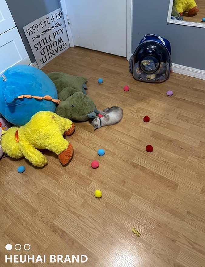 40-Pack Cat Balls – Fun Interactive Toys for Indoor Cats & Kittens (Basic Cat Toy Set)-PawvioPets