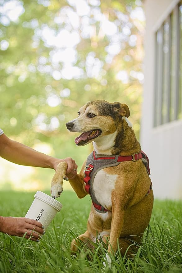 Dexas MudBuster Portable Dog Paw Cleaner, Medium, Bright White Special Edition, Premium Pet Supplies and Accessories-PawvioPets