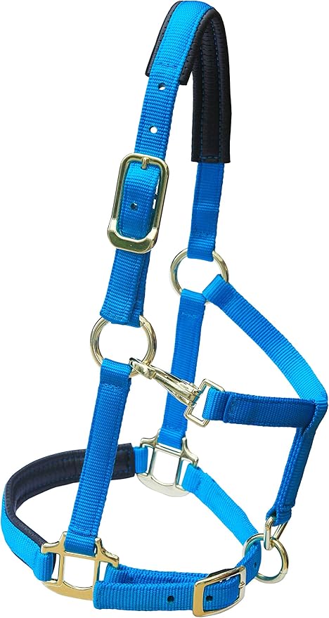 T TEKE Adjustable Horse Halters by Heavy Duty Soft Nylon, Padded with Anti-rubbing Waffle Neoprene on Both Crown & Nose-PawvioPets
