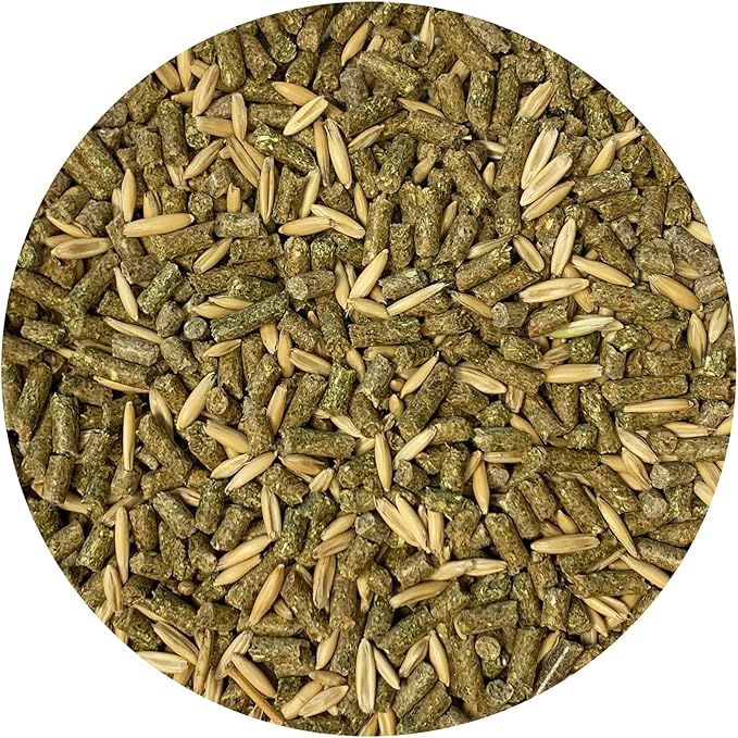 Exotic Nutrition Degu Diet (2.5lb) - Nutritionally Complete Healthy Pellet Diet with Whole Oats - for Domesticated Pet Degus-PawvioPets