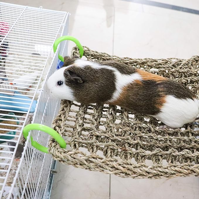 16 x 12 Inches Bird Seagrass Mat, Natural Seagrass Woven Net, Bird Hammock Mat with Hooks, Bird Cage Accessories, Climbing Rope Ladder Chew Toys for Cockatiel Hamster Guinea Pig Rats Hamster Parakeet-PawvioPets