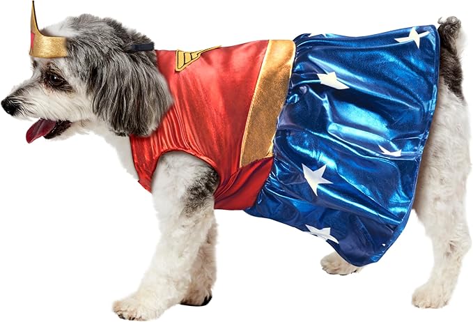 DC Comics: Wonder Woman Pet Costume for For Dogs or Cats by Rubies, Large-PawvioPets