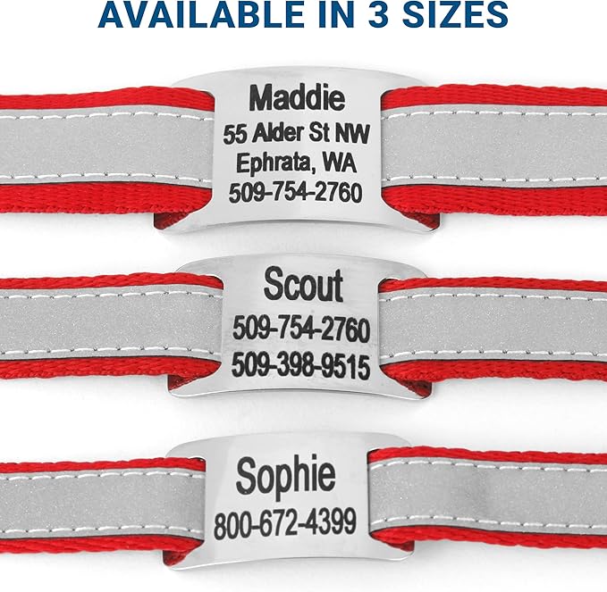 GoTags Reflective Personalized Dog Collar with Nameplate, Adjustable Dog Collar with Custom Engraved Steel Slide On Pet ID Tag, Silent, No Noise Dog Tag for Large Medium or Small (Red, Small)-PawvioPets