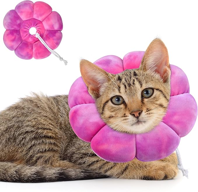 Dog Cat Surgical Recovery Cone Dog Protective Collar, Pet Recovery E-Collar Soft Neck Cone to Stop Licking Wound for Cats & Kittens Small Dog After Surgery-PawvioPets