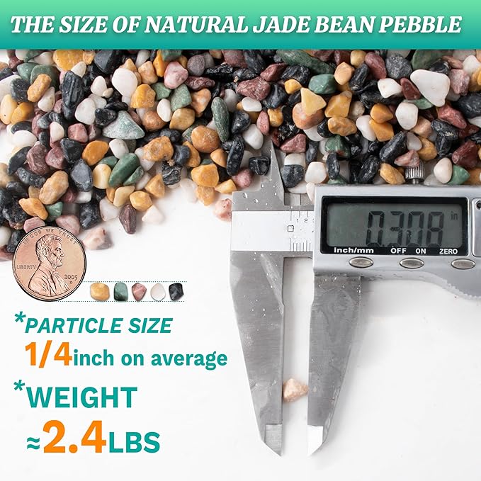 AVALUTION Aquarium Gravel for Plants -2.4lb Fish Tank Gravel for Succulent Cactus & Bonsai, 1/4Inch Decorative River Rocks Pebbles for Gardening, Flower Pots, Landscaping, Terrarium-PawvioPets