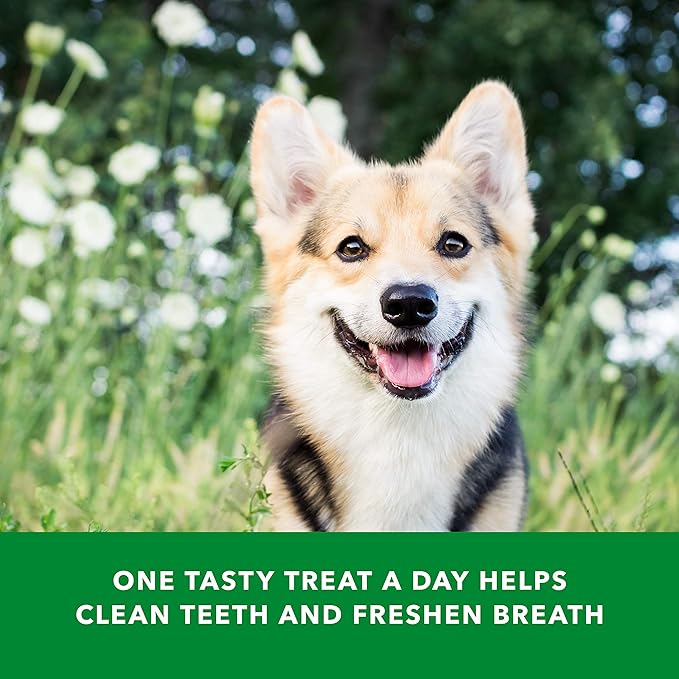 Amazon Brand - Wag Dental Dog Treats to Help Clean Teeth & Freshen Breath - Tiny, Unflavored, 2.25 pounds, 130 Count (Pack of 2)-PawvioPets