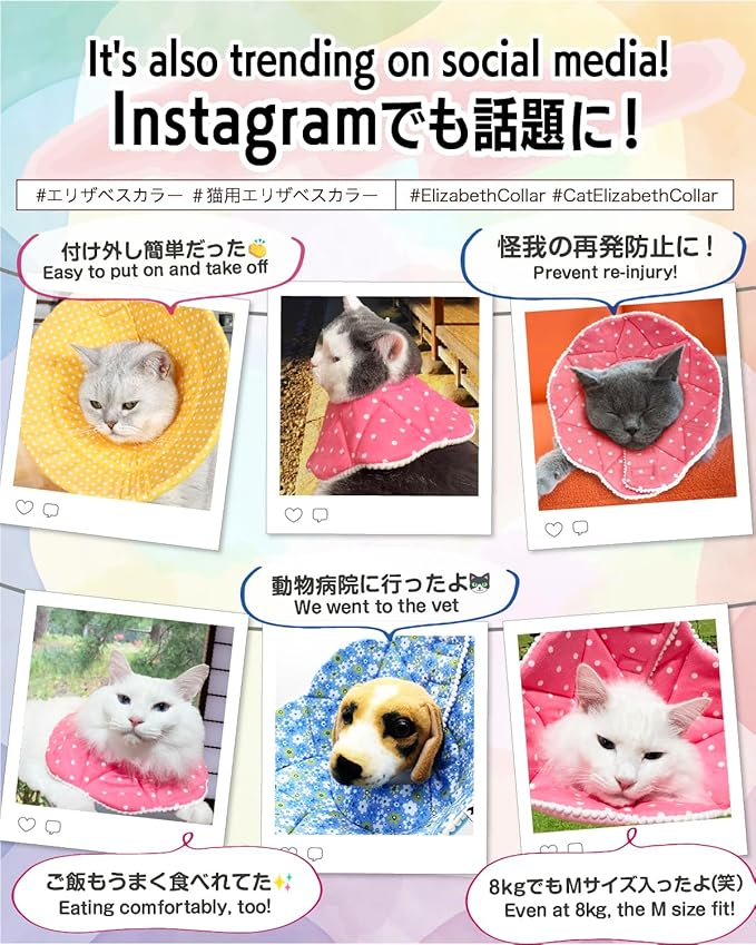 Elizabethan Collar (美/首巻/黄/M)-PawvioPets
