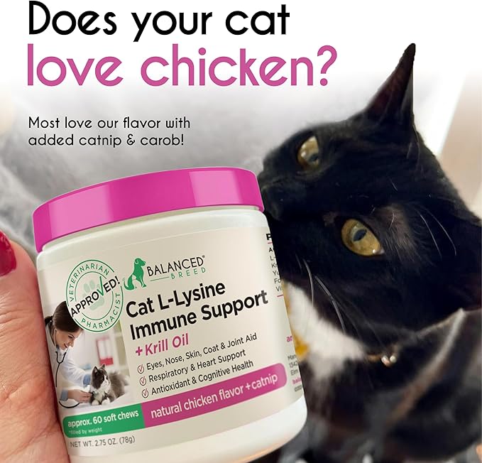 Balanced Breed L-Lysine Cats Immune Support Soft Chews Made in USA Vet-Pharmacist Approved Seasonal Allergy Relief Cat Vitamins Indoor Cats Supplements Krill Oil Asthma Relief Cat Lysine Treats NonGMO-PawvioPets