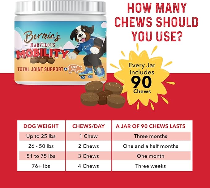 Bernie's Marvelous Mobility - Daily Total Joint Support for Dogs - 90 Soft Chews - Maintain & Rebuild Mobility, Supports Joint Tissue Health-PawvioPets
