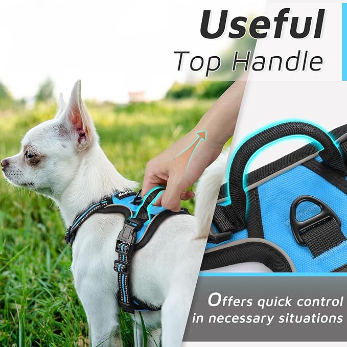 Eagloo Small Dog Harness No Pull, Service Vest with Reflective Strips and Control Handle, Adjustable and Comfortable for Walking, No Choke Pet Harness with 2 Metal Rings, Sky Blue, XS-PawvioPets
