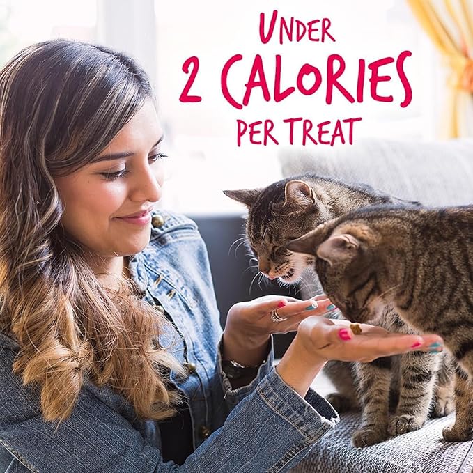 Fruitables Cat Crunchy Treats For Cats – Healthy Low Calorie Packed with Protein – No Wheat, Corn or Soy – Made with Real Salmon with Cranberry – 2.5 Ounces-PawvioPets