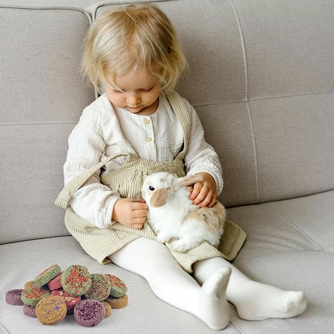 ERKOON 24Pcs Bunny Chew Toys, Small Animal Molar Toys Timothy Grass Beet Sweet Potato Pumpkin Cake Treats for Guinea Pig Hamster Bunny Chinchilla Gerbil, 100% Natural Rabbit Chews and Treats-PawvioPets