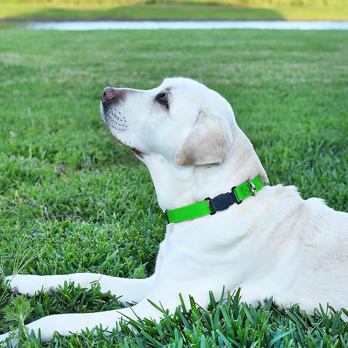 Dogline Biothane Waterproof Dog Collar with Herm Sprenger Black Stainless Steel Quick Release Buckle – Heavy Duty Tactical Durable Collar for Dogs – Comfortable and Safe Pet Collar W3/4" L12-19 Green-PawvioPets