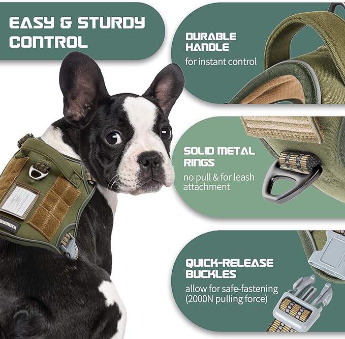 BUMBIN Tactical Dog Harness for Small Dogs No Pull, Famous TIK Tok No Pull Puppy Harness, Fit Smart Reflective Pet Walking Harness for Training, Adjustable Dog Vest Harness with Handle Green S-PawvioPets