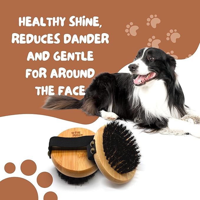 The Buddy System Pet Close Brush, Soft Touch Oval Palm Brush - Bamboo Massage Handheld with Soft Boar Bristles and Elastic Band for Dogs and Cats-PawvioPets
