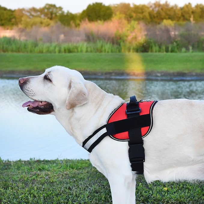 Dogline Dog Harness, Reflective No-Pull Adjustable Vest with Handle for Walking, Training, Service Breathable No - Choke Harness for Small, Medium or Large Dogs Room for Patches Girth 15 to 18 in Red-PawvioPets