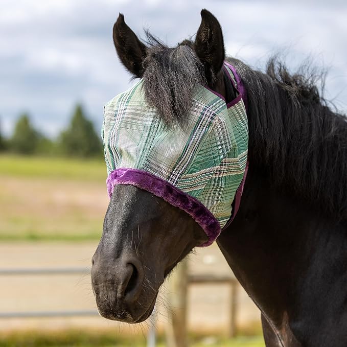 Kensington Fly Mask with Fleece Trim for Horses — Protects Face and Eyes from Flies and Sun Rays While Allowing Full Visibility — Breathable and Non Heat Transferring, XX-Large, Imperial Jade-PawvioPets