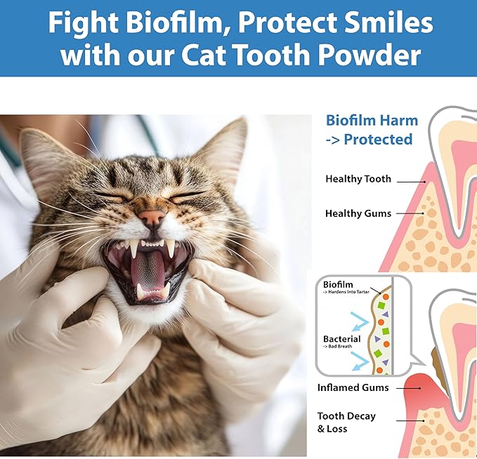 Cat Dental Care Powder Bad Breath Treatment for Cats Teeth, Mouth, Gums & Gut, Plaque Off,Tartar Control, Help Feline Gingivitis and Stomatitis, with Natural Extracts & Probiotics-PawvioPets