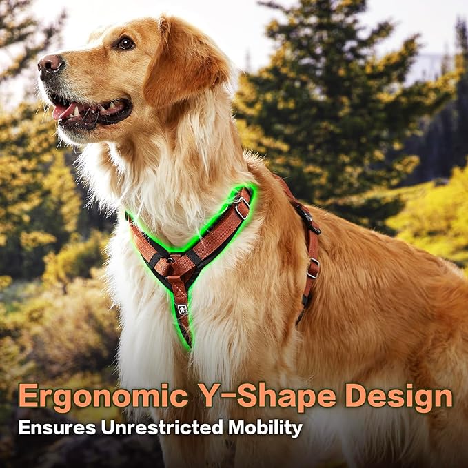 CLEPAWS Dog Harness for X-Large Dogs, No Pull Dog Harness Easy Walk with Metal Hardware, Ergonomic Y-Shaped Design, Soft Padding, Padded Handle, Durable High-Tensile Nylon (Canyon Red, XL)-PawvioPets