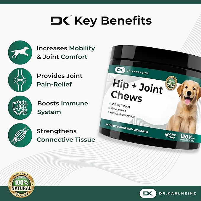 Glucosamine for Dogs - Max Strength Hip and Joint Supplement for Dogs - MSM, Chondroitin, Hemp Oil, Turmeric - Mobility Support and Pain Relief - 120 Chewable Tablets (Chicken Flavor)-PawvioPets