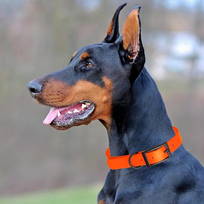 Dogline Biothane Waterproof Dog Collar Strong Coated Nylon Webbing with Black Hardware Odor- Proof for Easy Care Easy to Clean High Performance Fits Small Medium or Large Dogs, Hunter Orange-PawvioPets