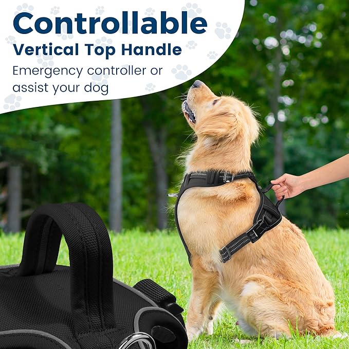 Funfox Dog Harness No Pull, Adjustable Pet Vest Harness, Super Soft Material with Vertical Handle Easy Control, Reflective Night Walking, 2 Leash Clips for Medium Sized Dogs, Black, M-PawvioPets