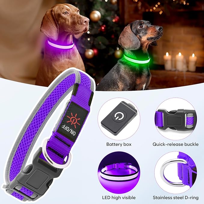 Flashseen LED Dog Collar, USB Rechargeable Light Up Dog Collar Lights, Adjustable Comfortable Soft Mesh Safety Pet Collar for Small, Medium, Large Dogs (Purple, Small)-PawvioPets