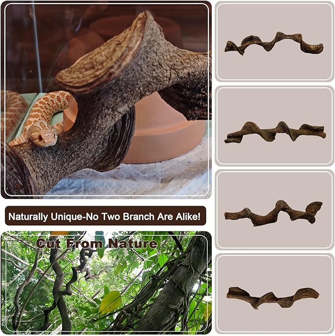BNOSDM 3Pcs Reptile Climbing Branches Decor,Snake Climbing Branch,Gecko Climb Wood,Lizard Forest Branch,Tank Habitat Tree Trunk Decorations for Bearded Dragons,Chameleons,Spider,Frogs (M)-PawvioPets